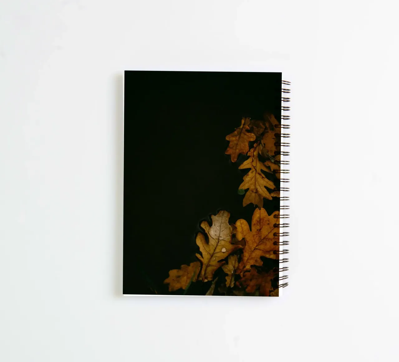 Herbstlaub Eichenlaub Ringbuch von Earthly Visions