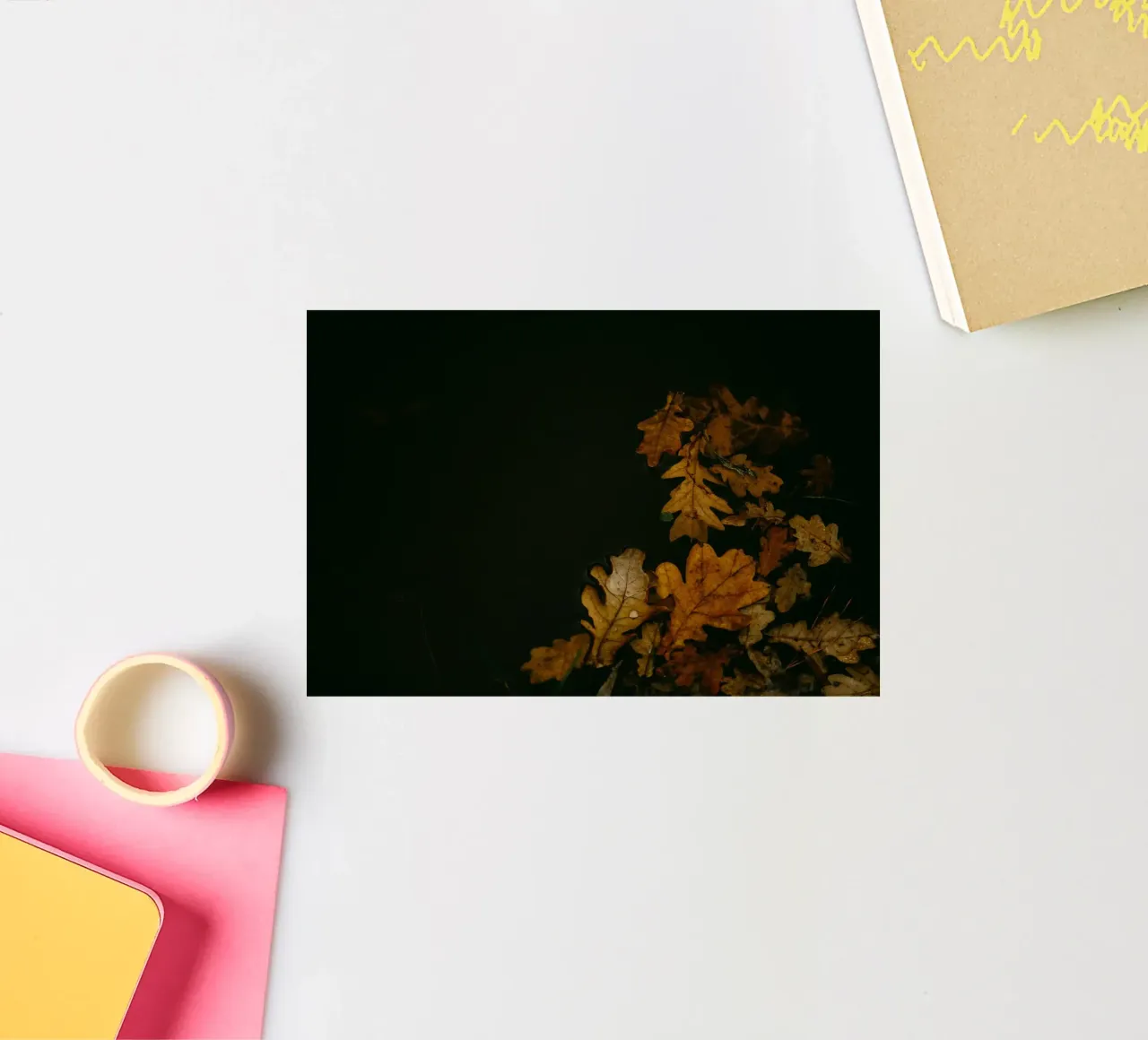 autumn leaves oak leaves sticker by Earthly Visions