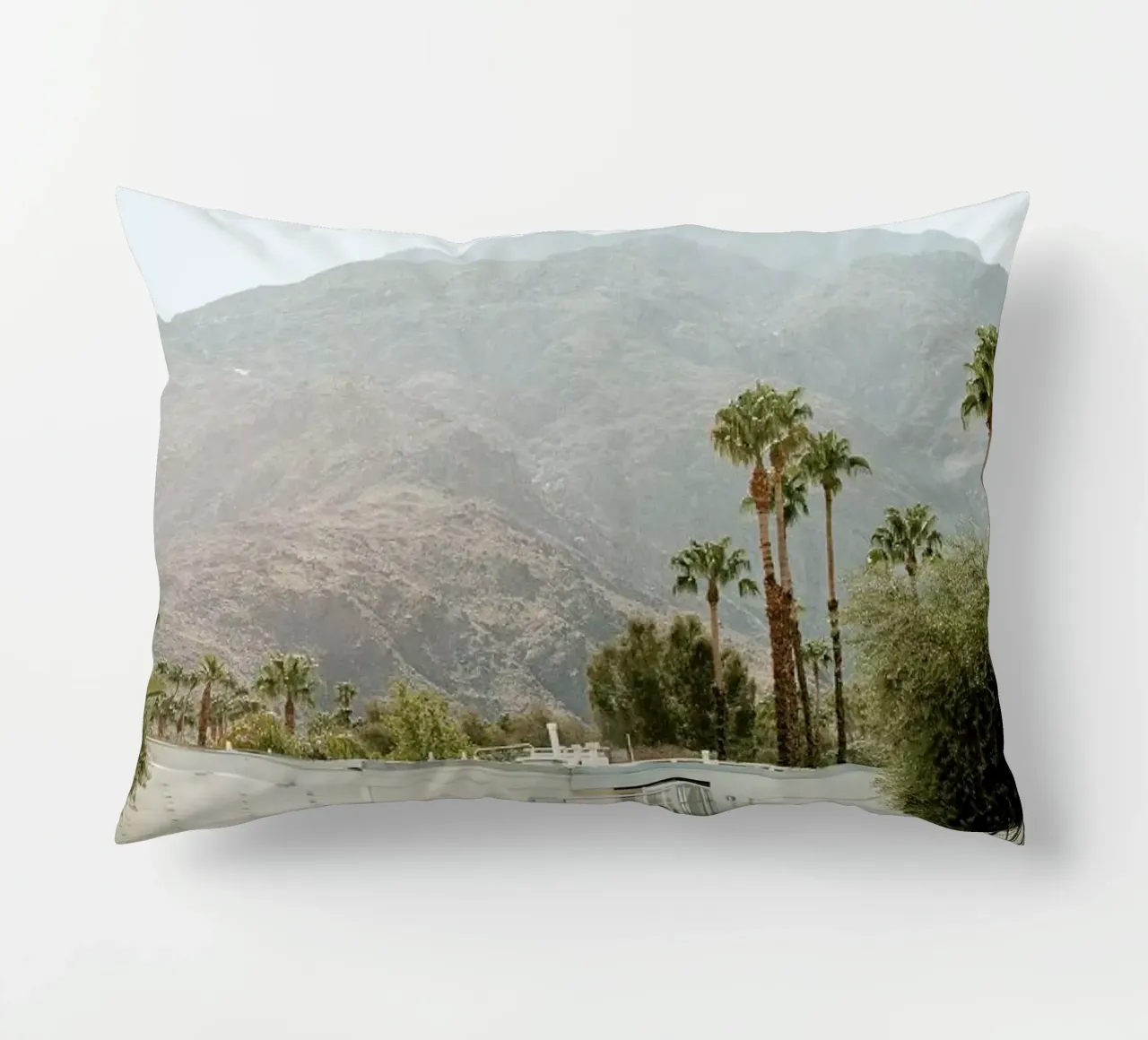 Palm Springs decorative cushion by Chris Abatzis