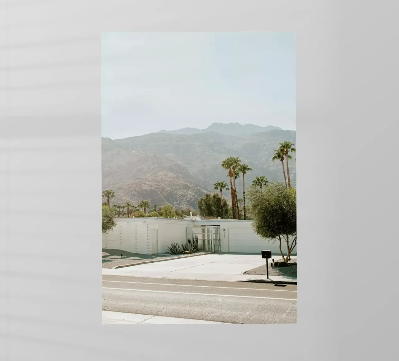 Palm Springs pellicola backlit da Chris Abatzis