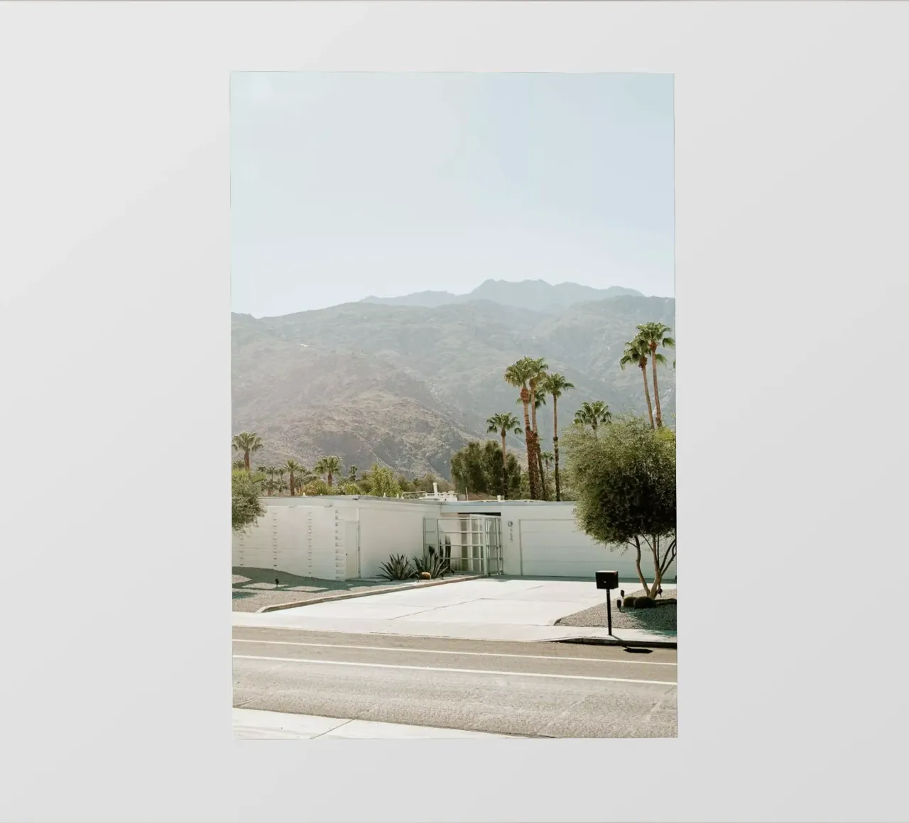 Palm Springs pellicola backlit da Chris Abatzis