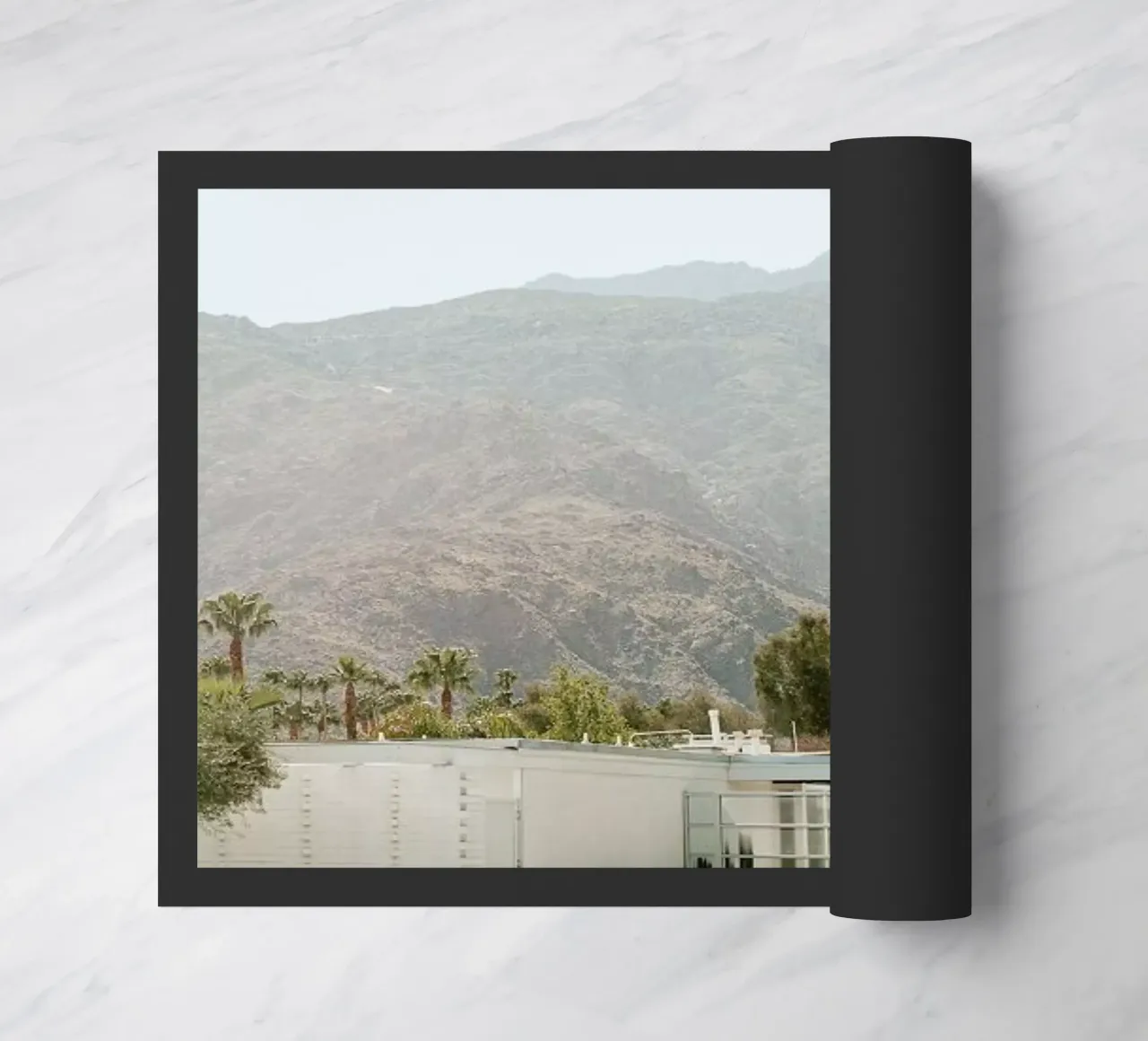 Palm Springs zerbino da Chris Abatzis