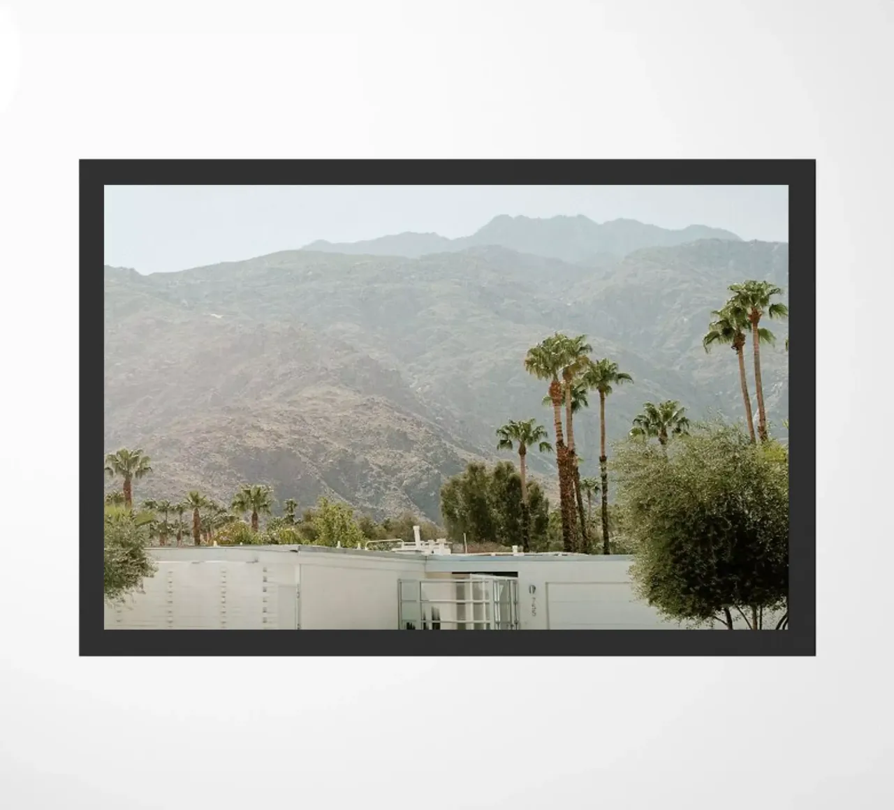 Palm Springs zerbino da Chris Abatzis