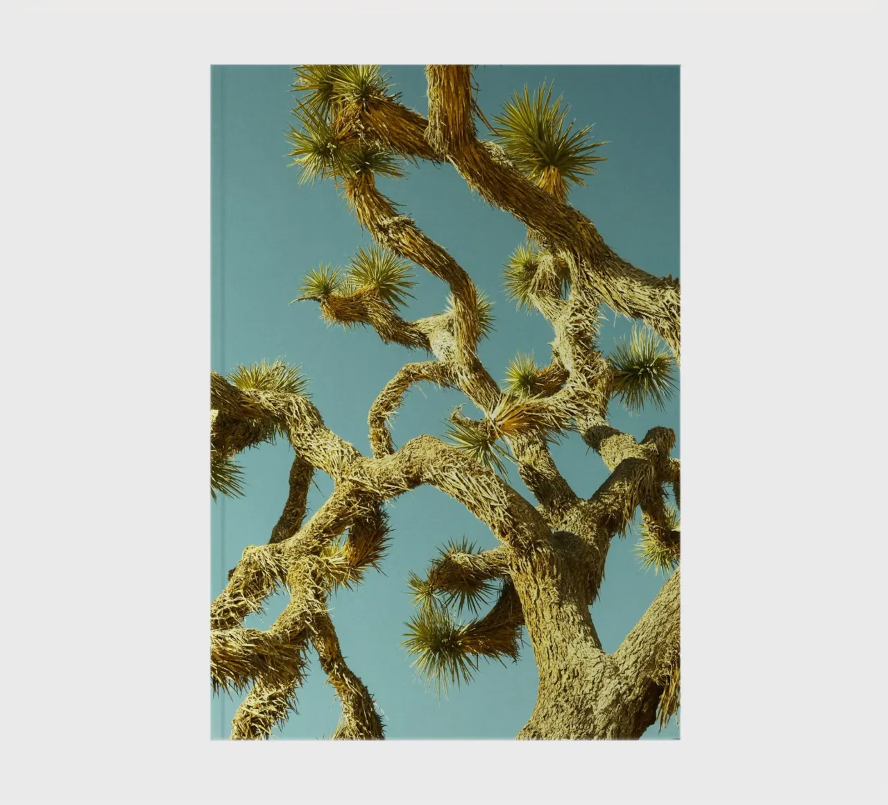 tree desert notebook by Earthly Visions