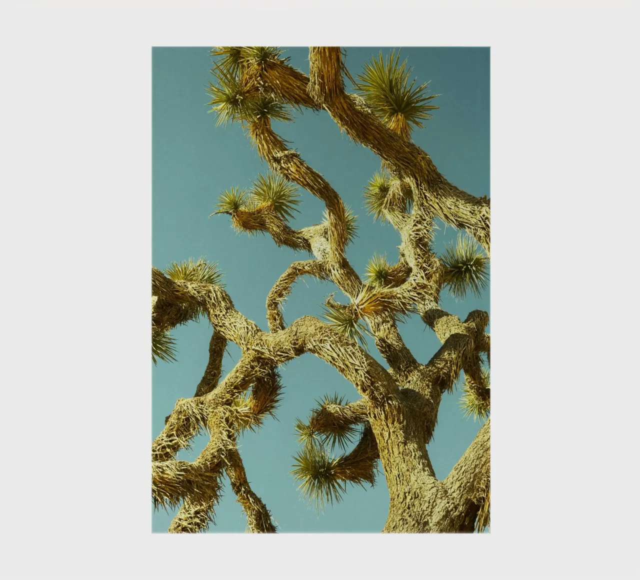 tree desert notebook by Earthly Visions