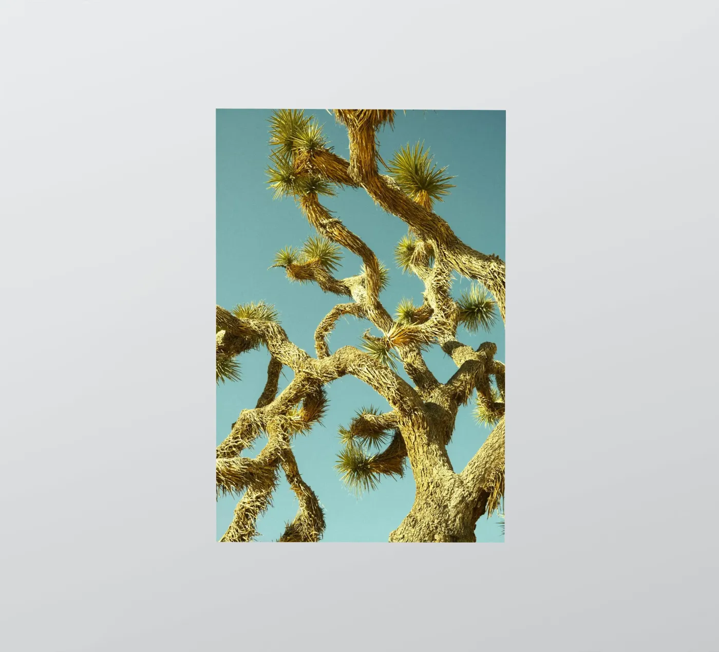 Baumwüste Sticker von Earthly Visions