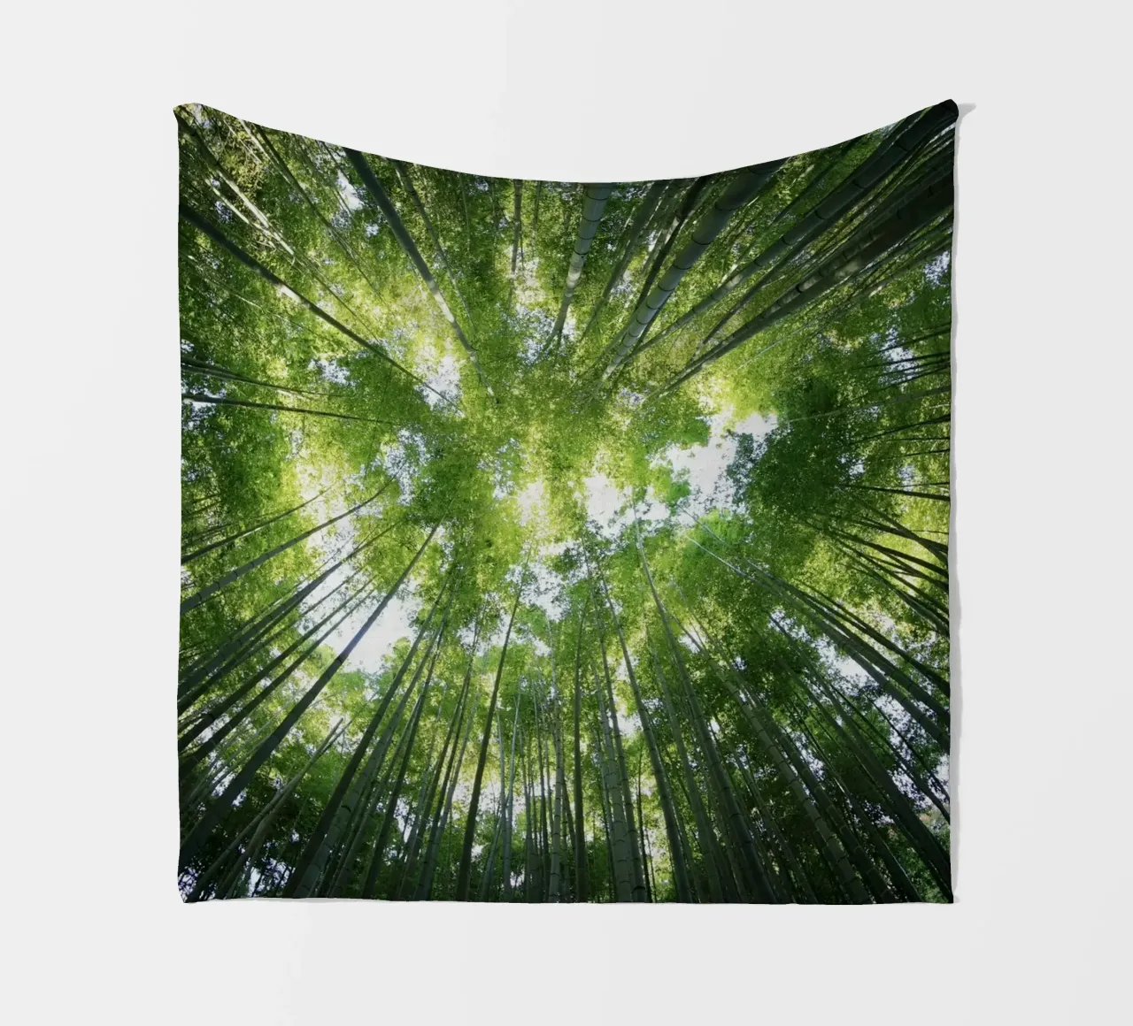 alberi di bambù coperta in pile da Earthly Visions