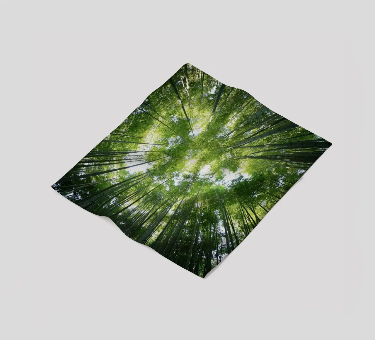 alberi di bambù coperta in pile da Earthly Visions