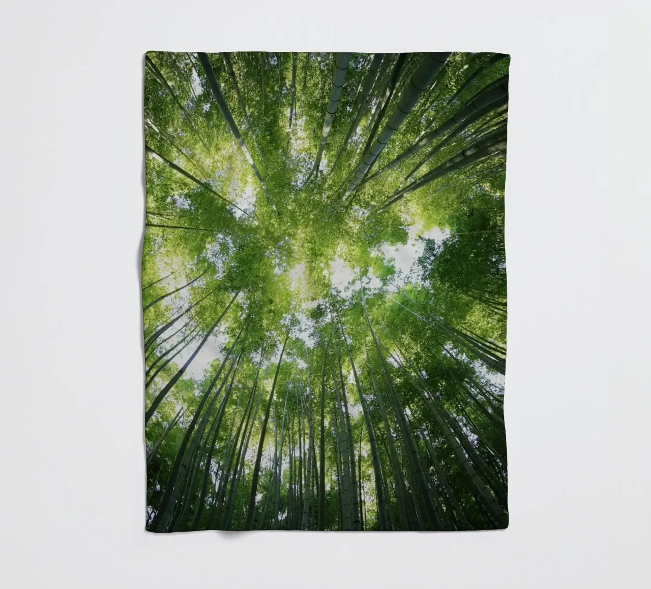 alberi di bambù coperta in pile da Earthly Visions