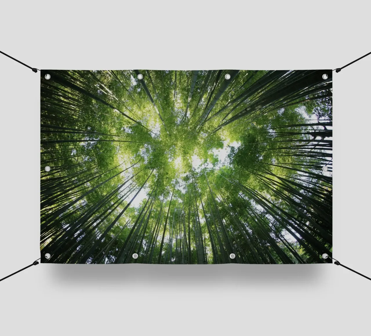 alberi di bambù telo in pvc da Earthly Visions