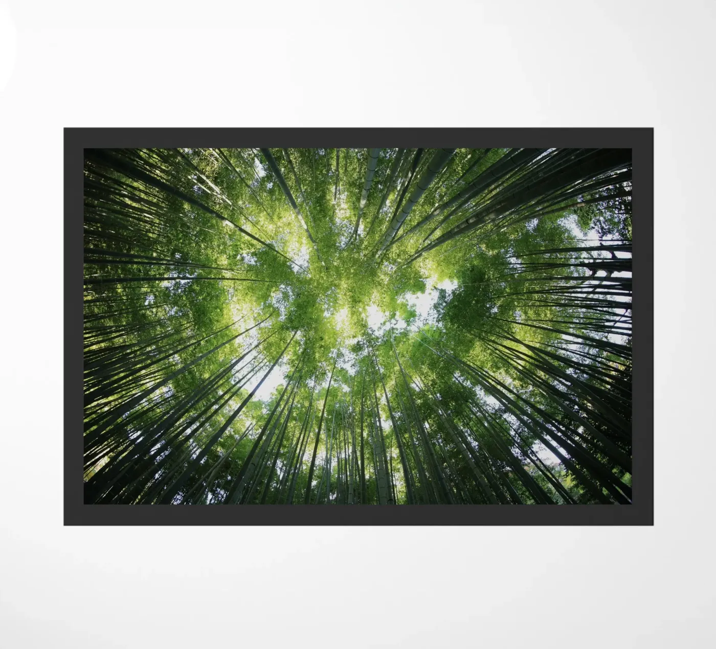 bamboo trees deurmat van Earthly Visions
