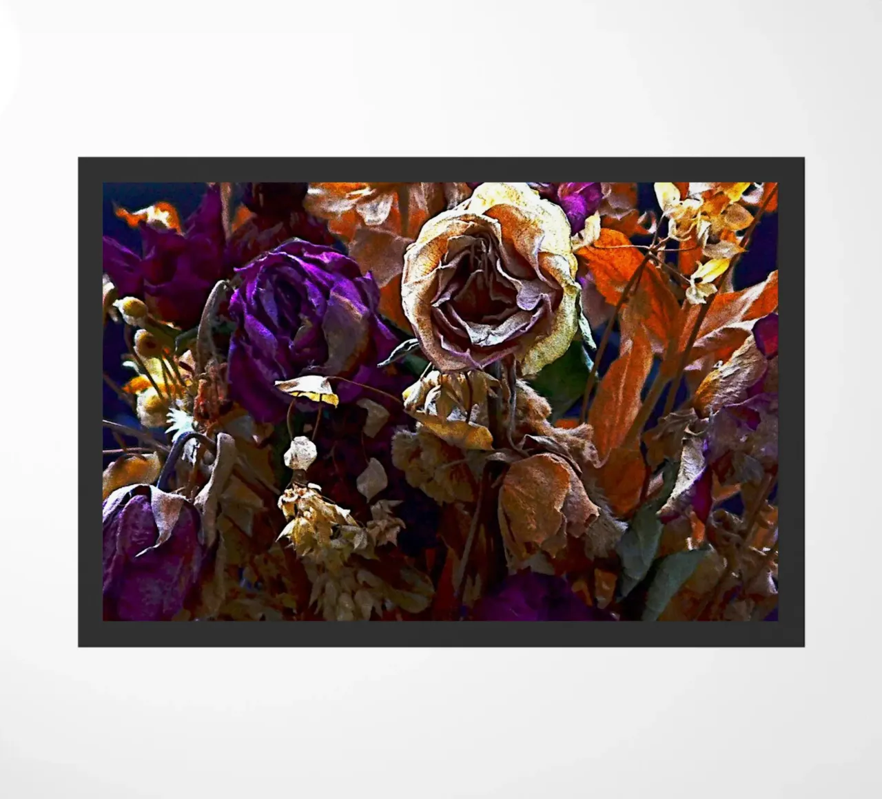 FAA330 zerbino da Thierry vobmann photography