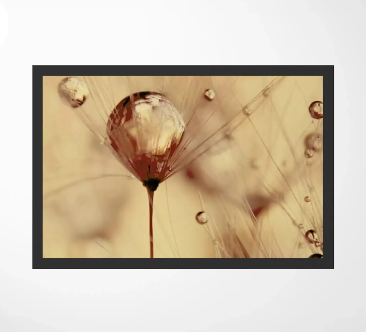 a touch of gold zerbino da Ingrid Beddoes
