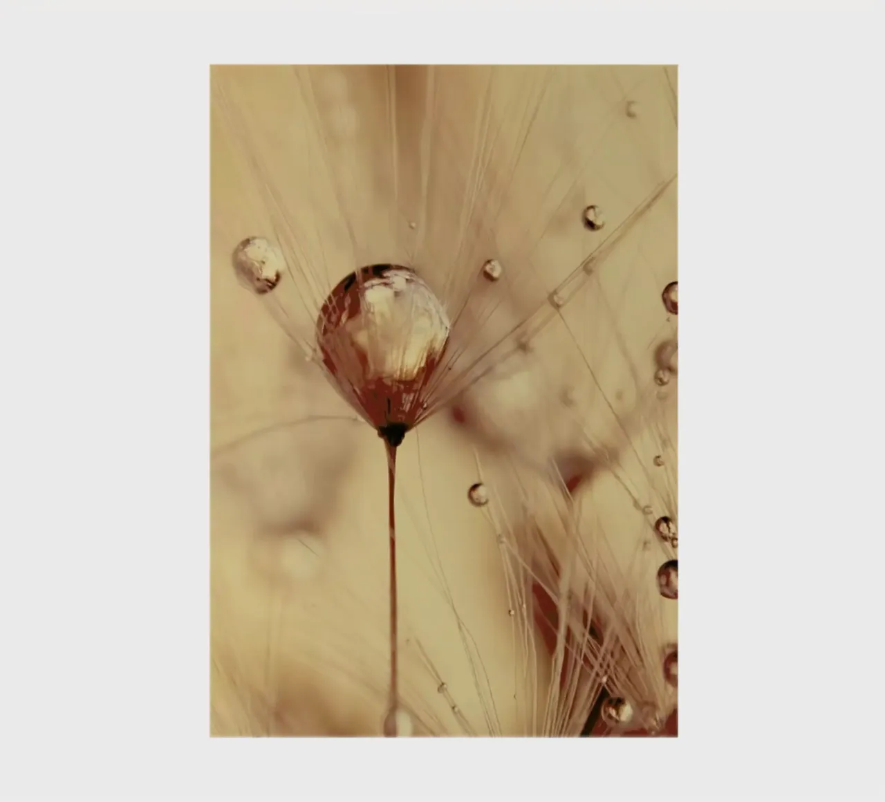 a touch of gold notebook by Ingrid Beddoes