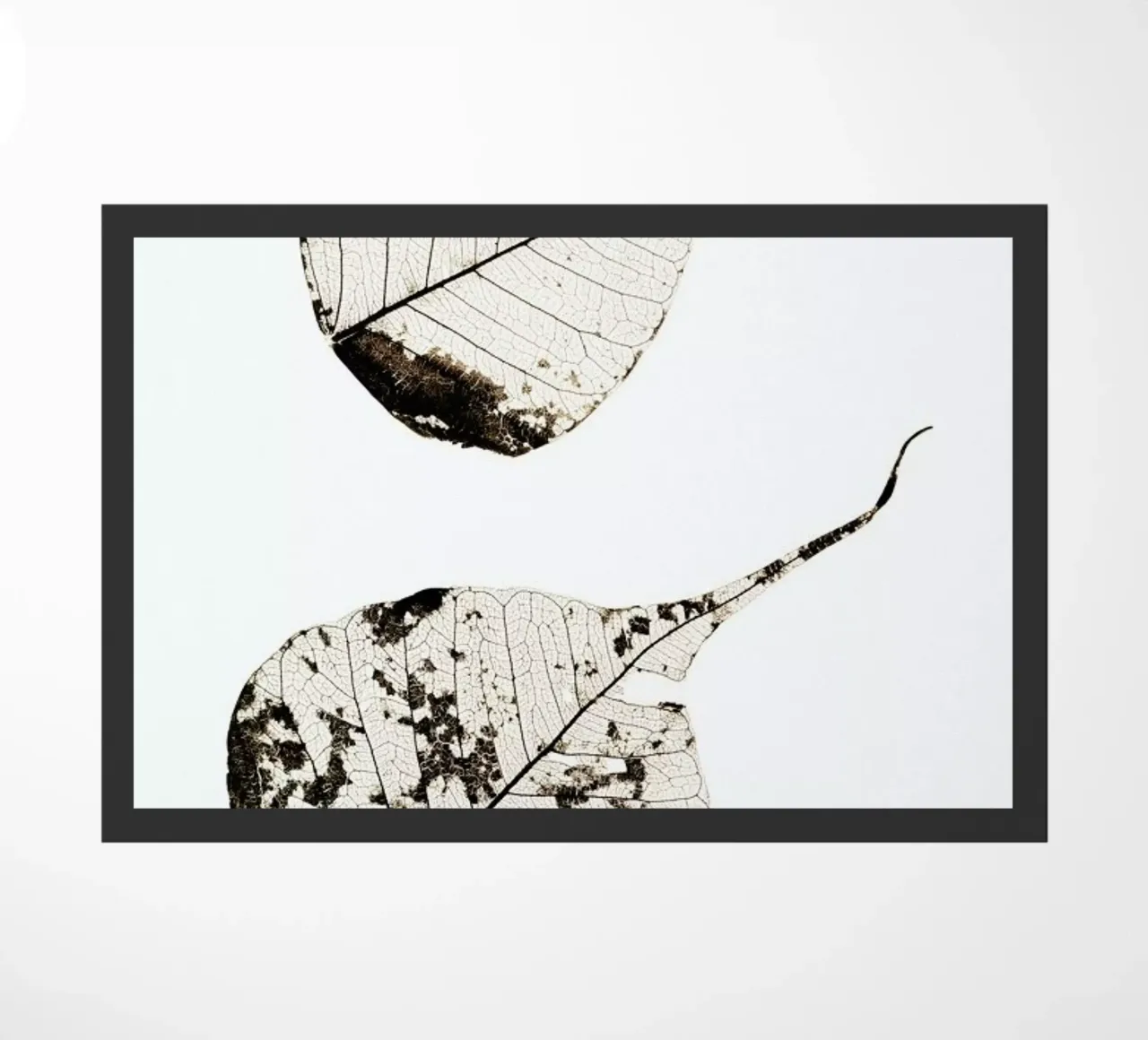 Fallen Leaves #2 zerbino da Tal Paz-Fridman