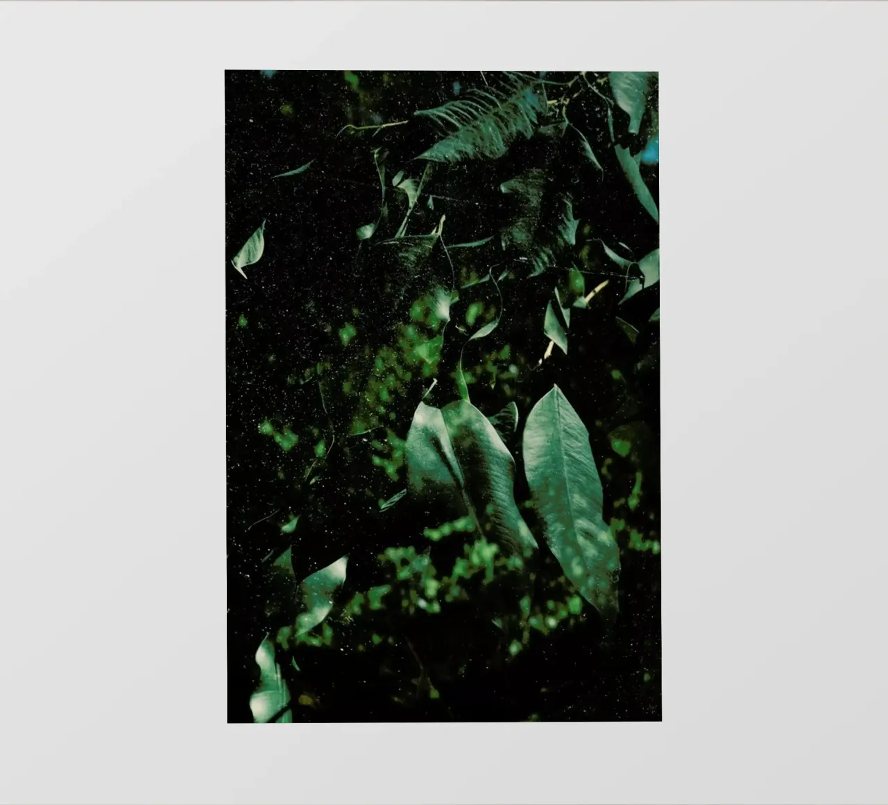 Abstract Greens In The Sun pvc cover by Sebastian Hilgetag