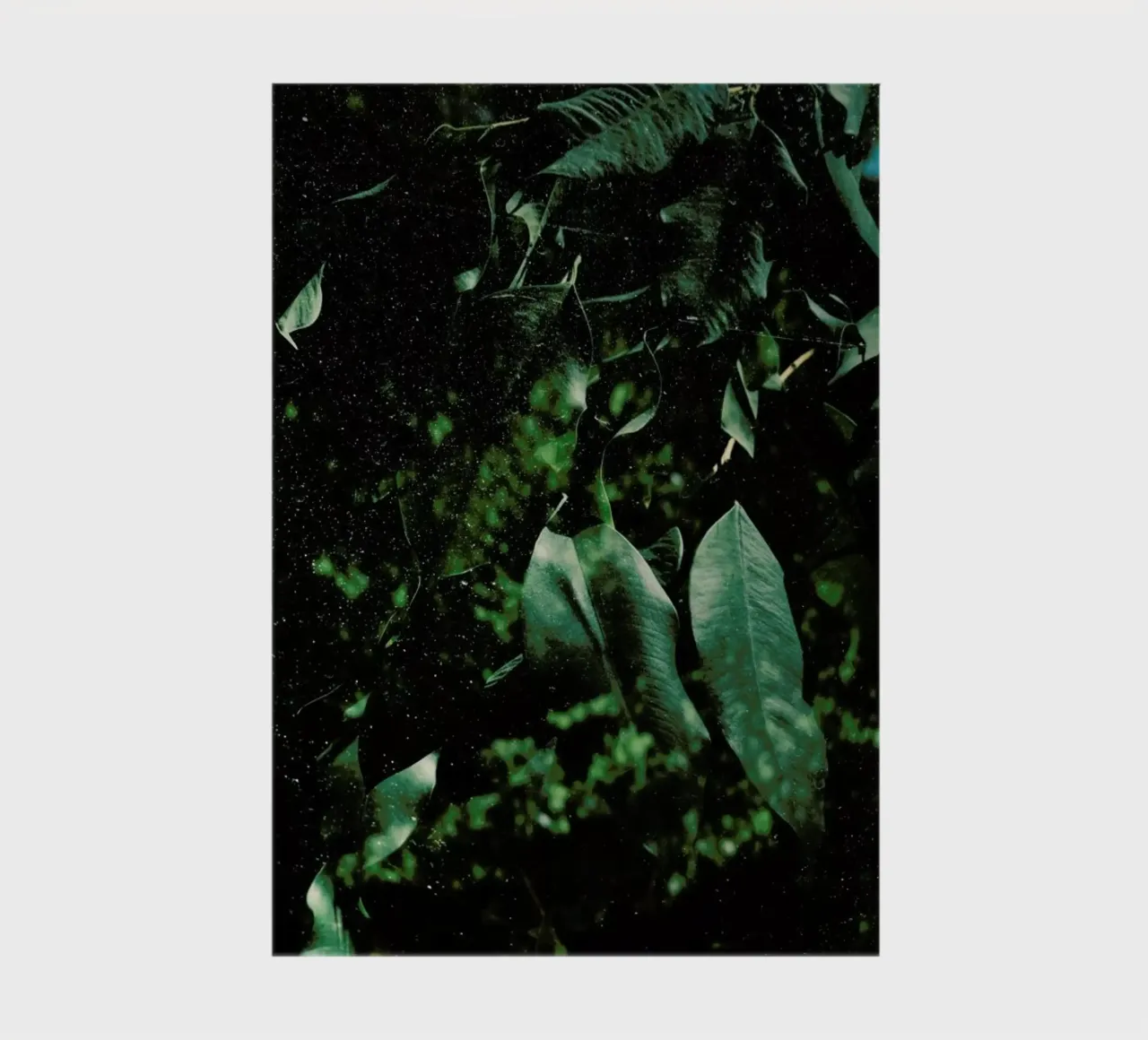 Abstract Greens In The Sun notebook by Sebastian Hilgetag