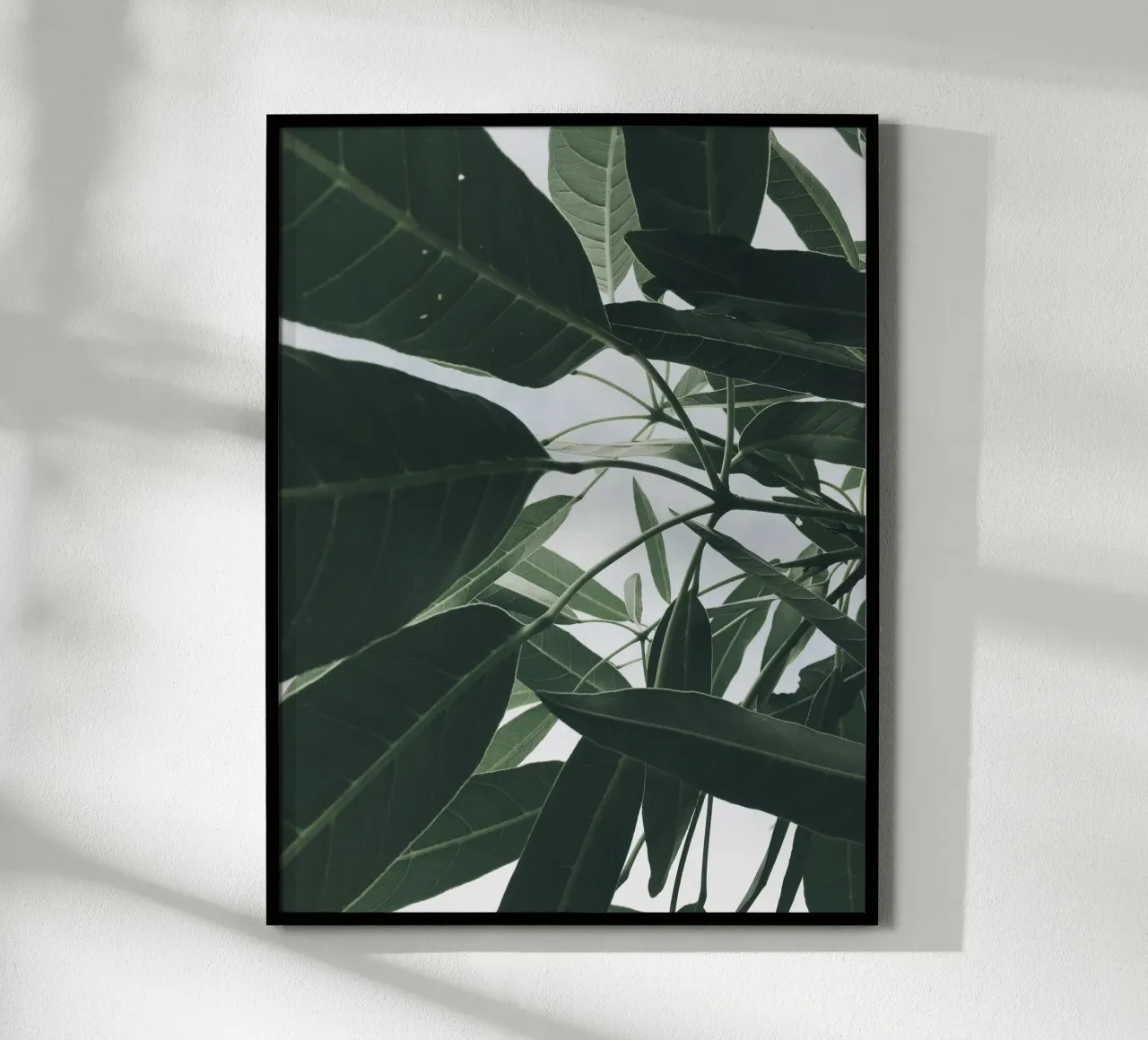 Frond hahnemühle by PhotoVibe Decor