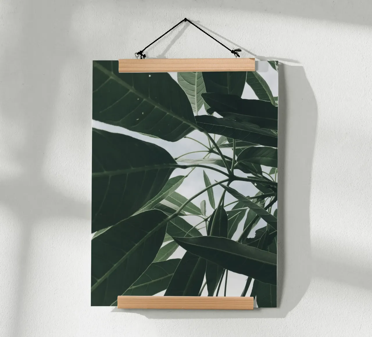 Frond hahnemühle by PhotoVibe Decor