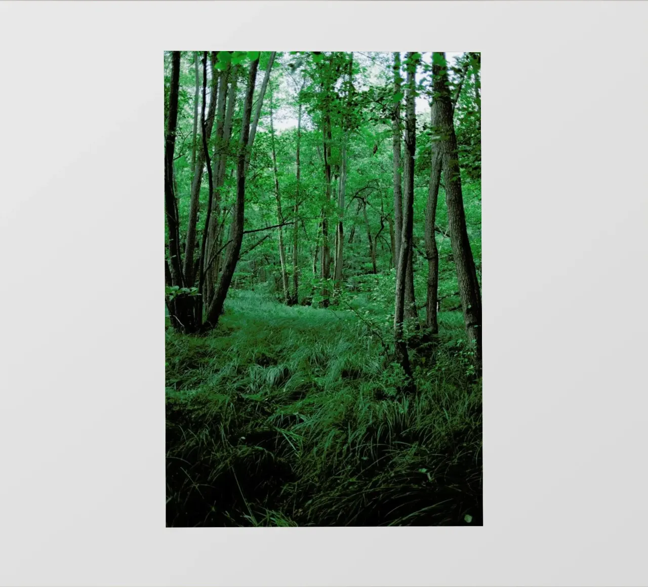 Green Nature telo in pvc da Sebastian Hilgetag