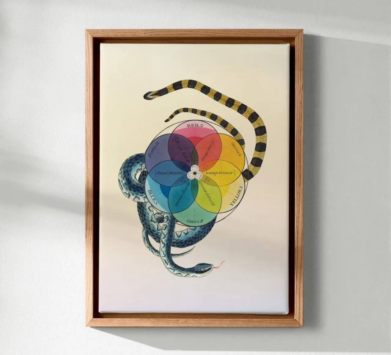 Serpentijn Spectrum | Press Play Kunstdruk Collage canvas met Baklijst van Press Play Art Prints
