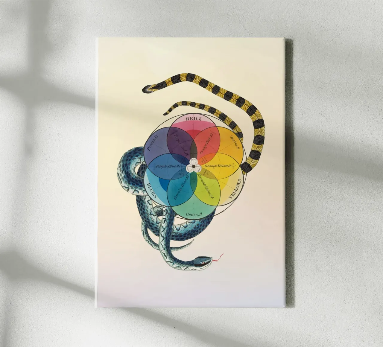 Serpentijn Spectrum | Press Play Kunstdruk Collage canvas met Baklijst van Press Play Art Prints