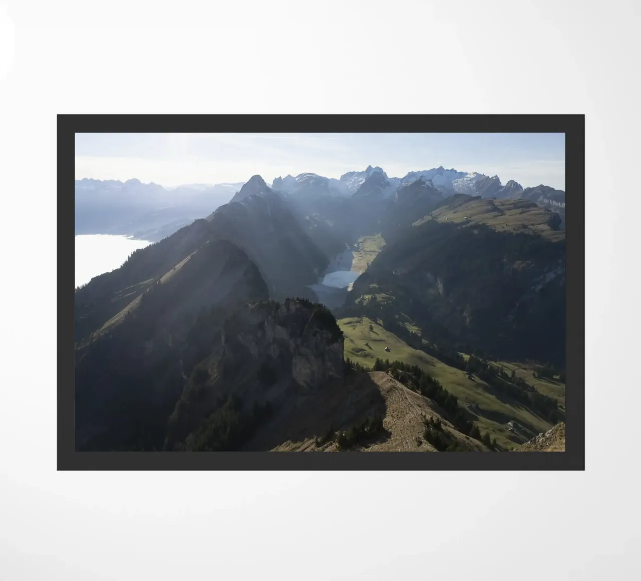 Stillness Between zerbino da somewhere.soul.escape