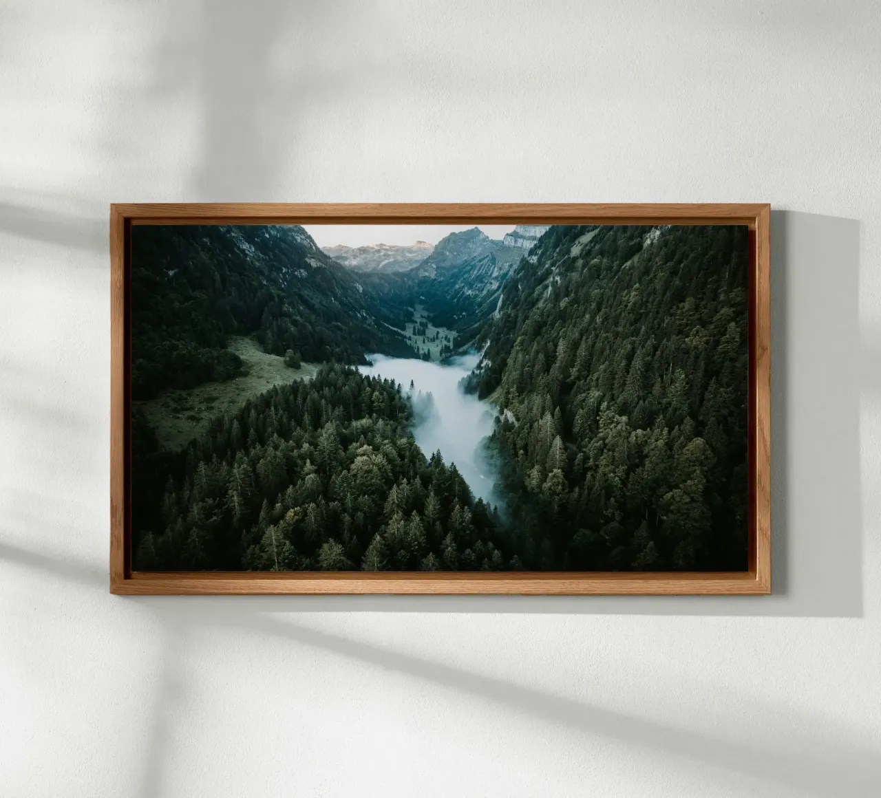 Where Fog Sleeps alluminio dibond da somewhere.soul.escape