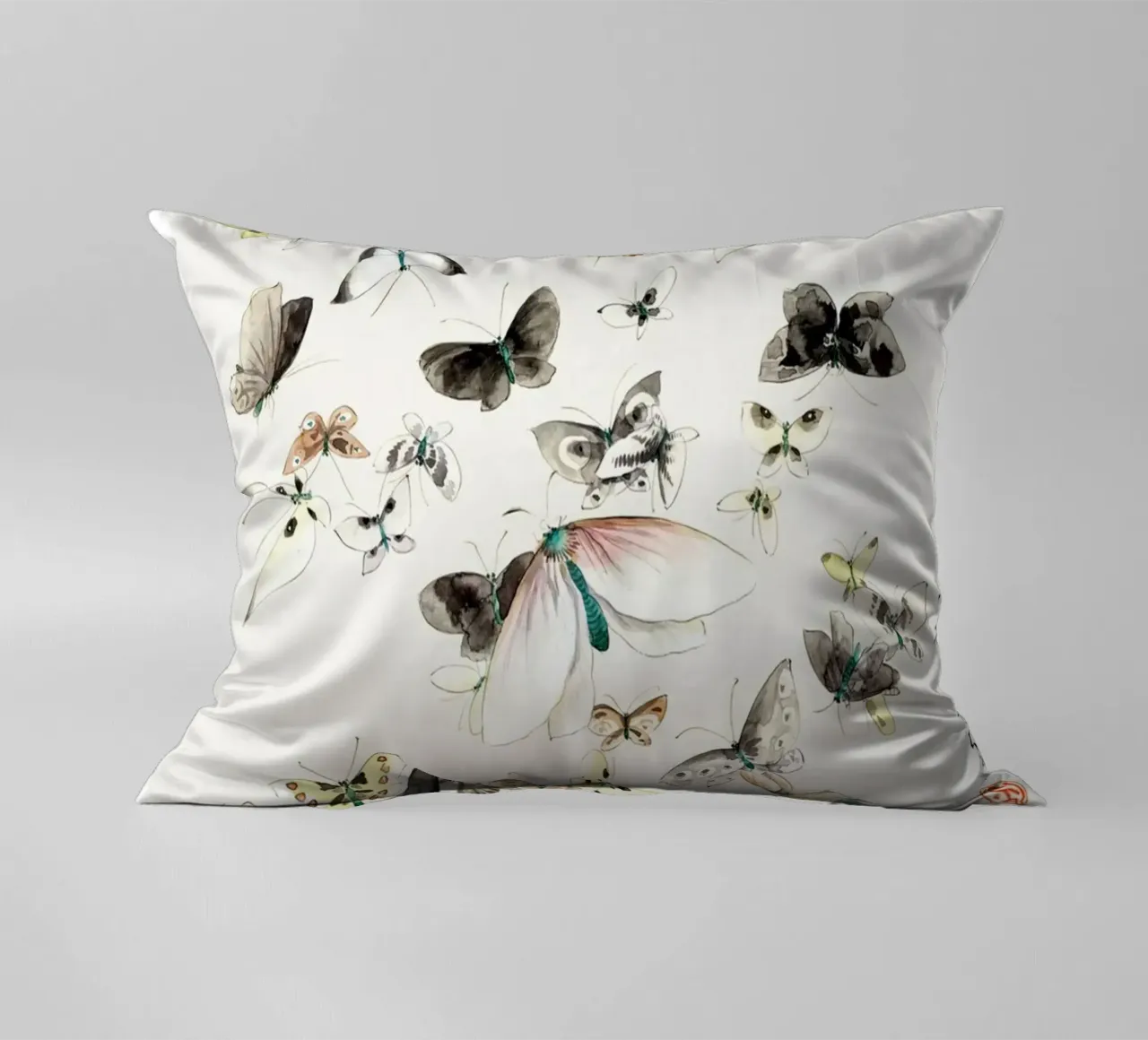 Butterflies & Moths decorative cushion by Attaboy Dsgn