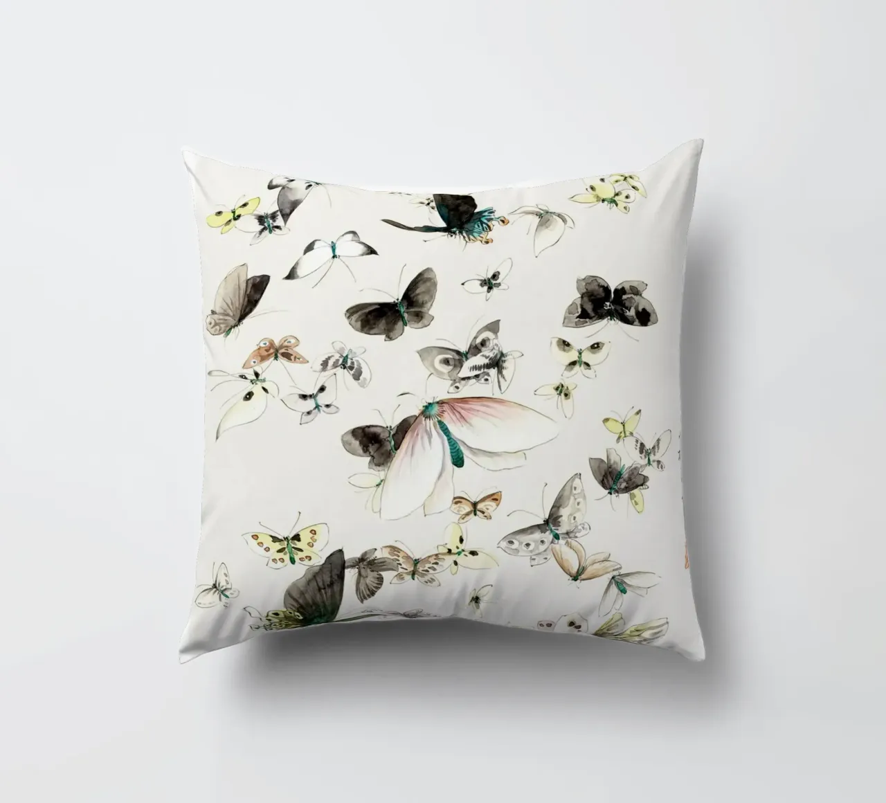 Butterflies & Moths decorative cushion by Attaboy Dsgn