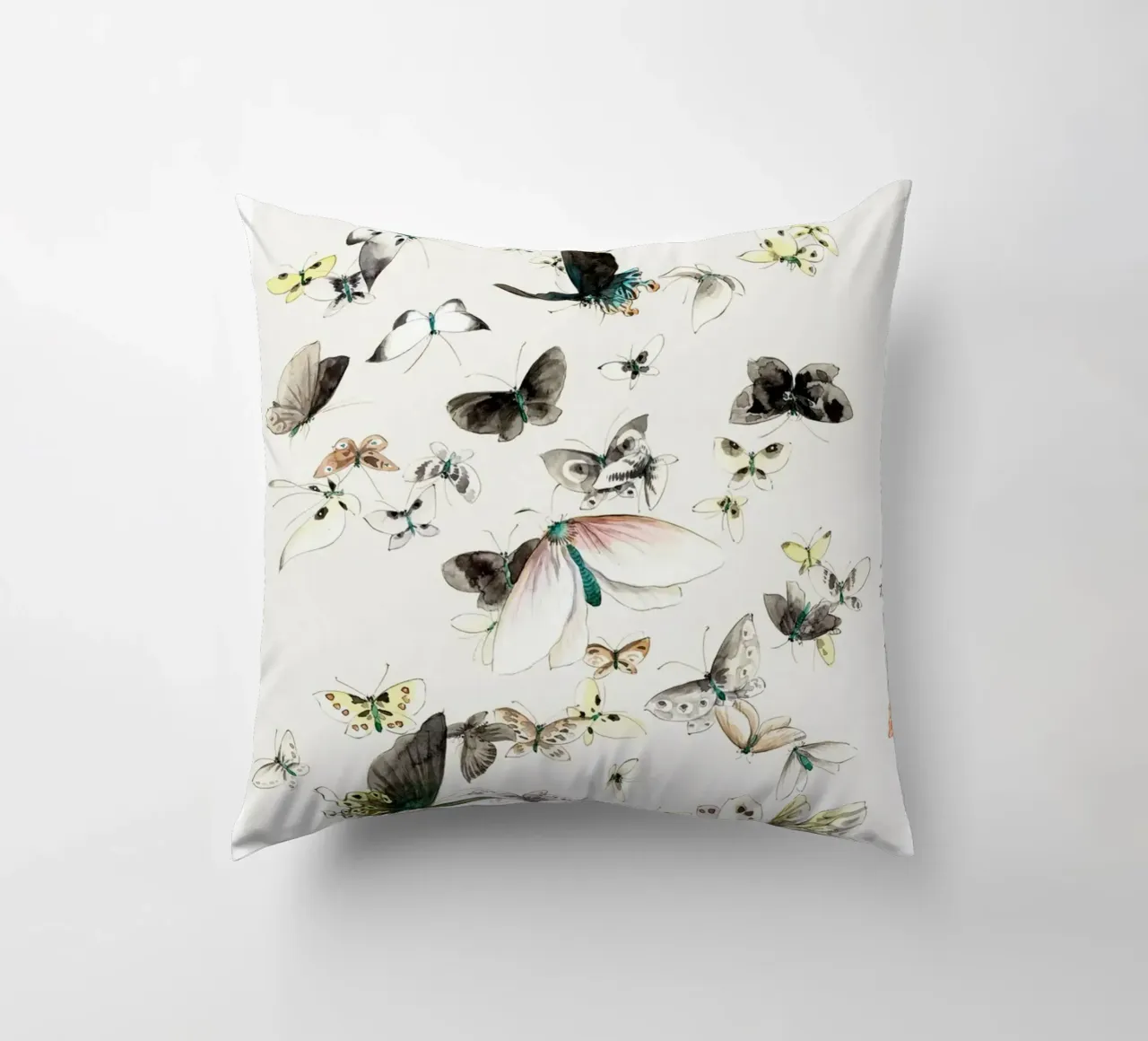 Butterflies & Moths decorative cushion by Attaboy Dsgn