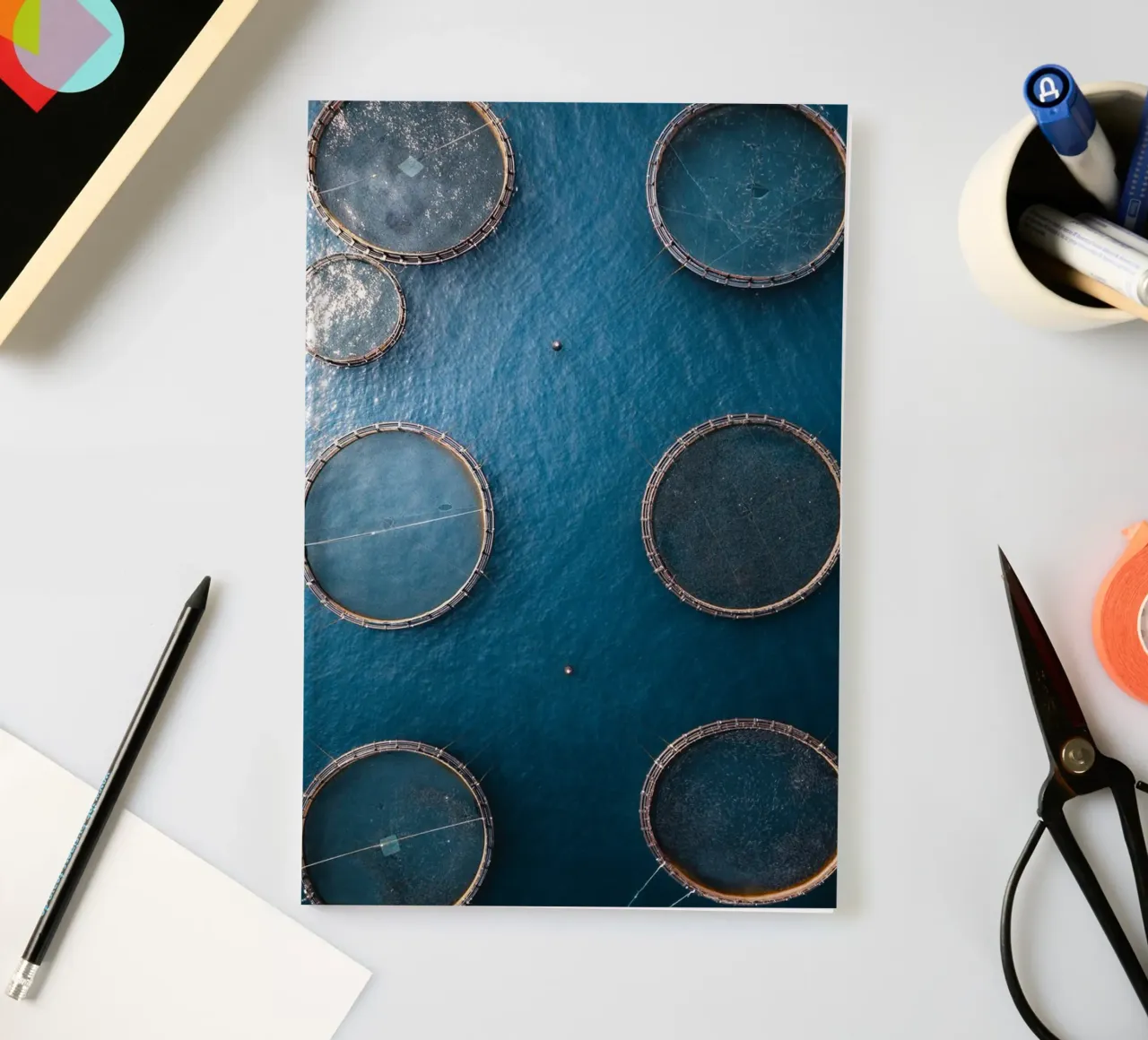 Traplines notebook by somewhere.soul.escape