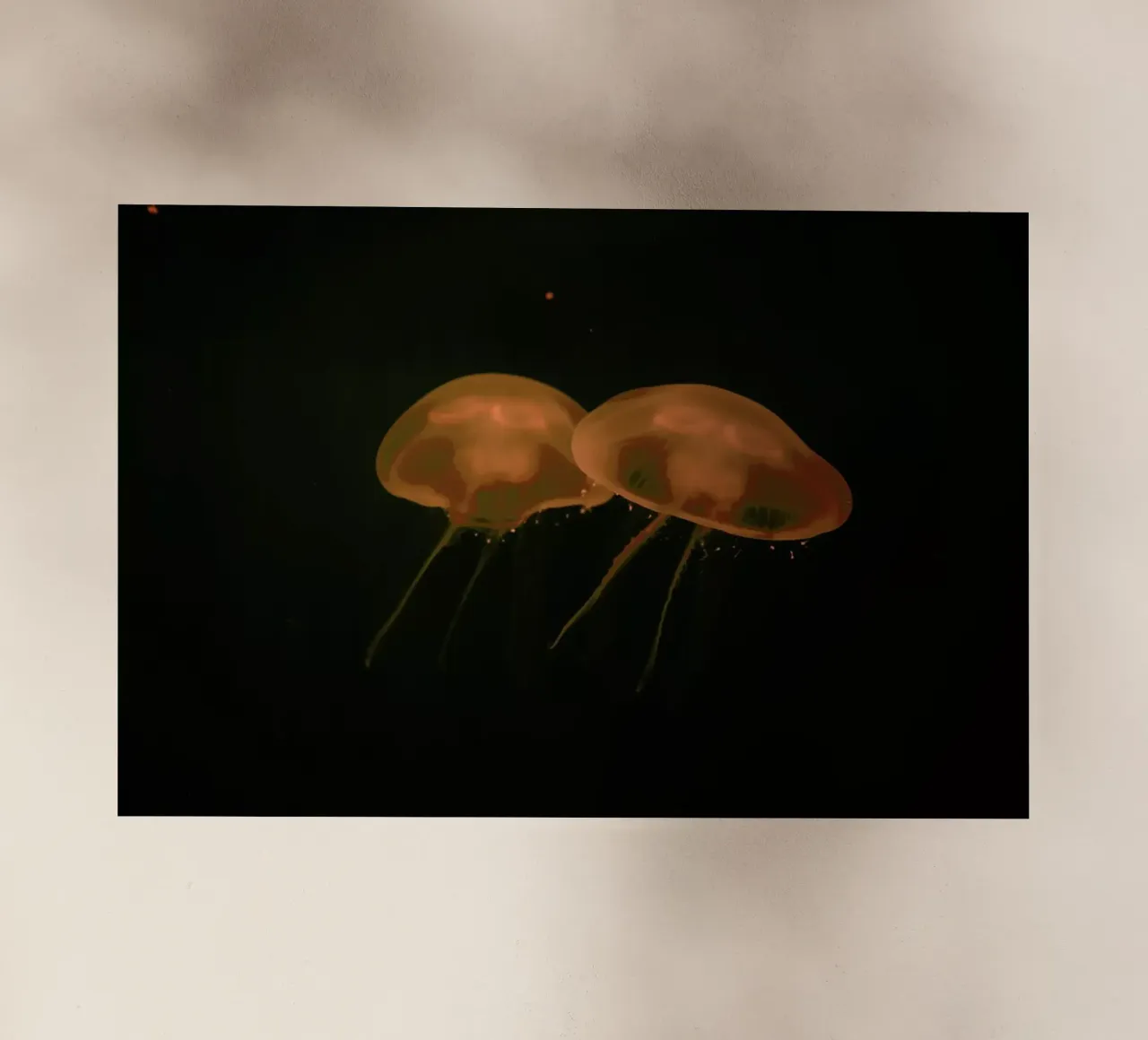 At The Aquarium #5 pellicola backlit da Tal Paz-Fridman