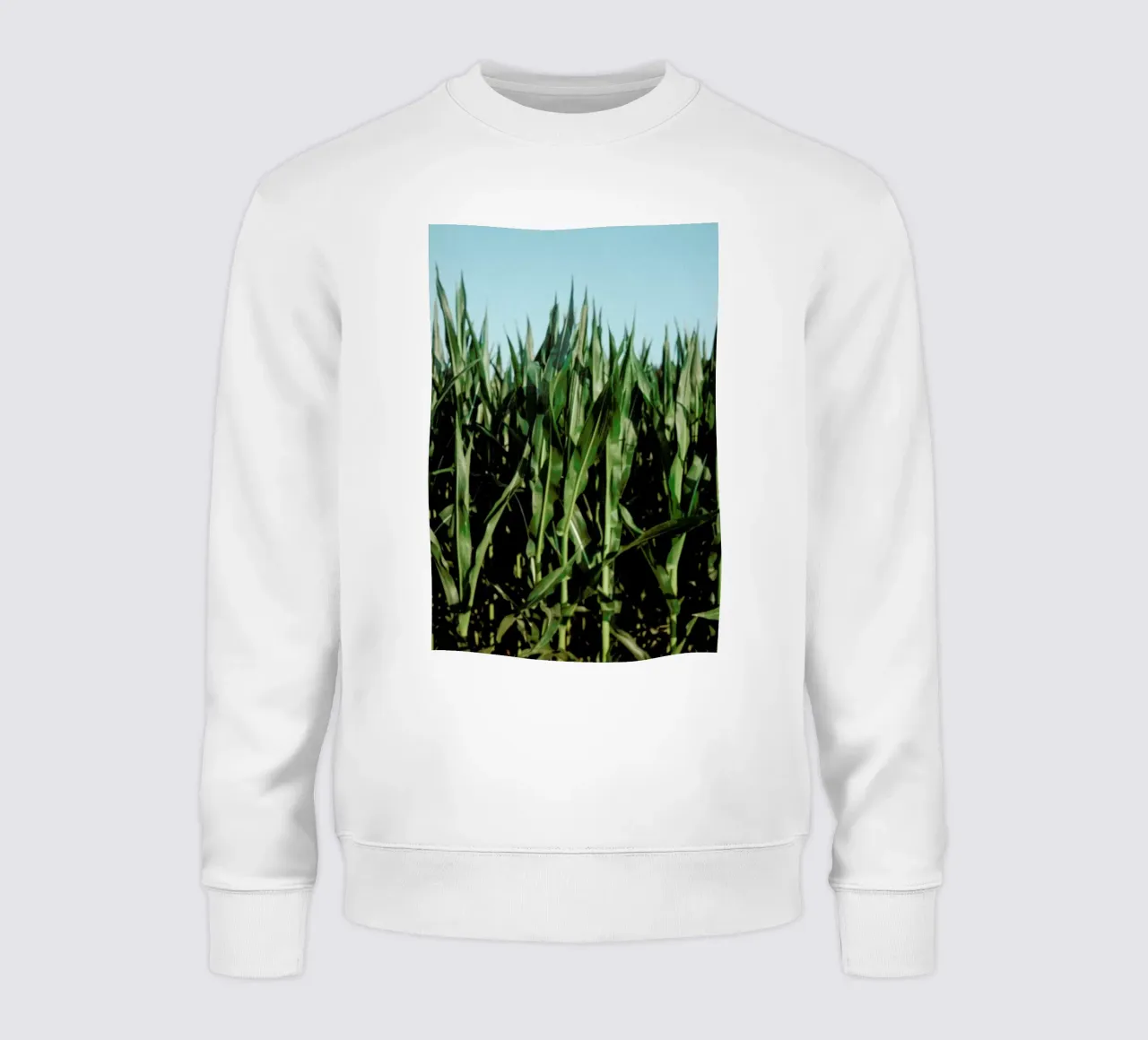 Analog Series Corn Fields felpa da Sebastian Hilgetag
