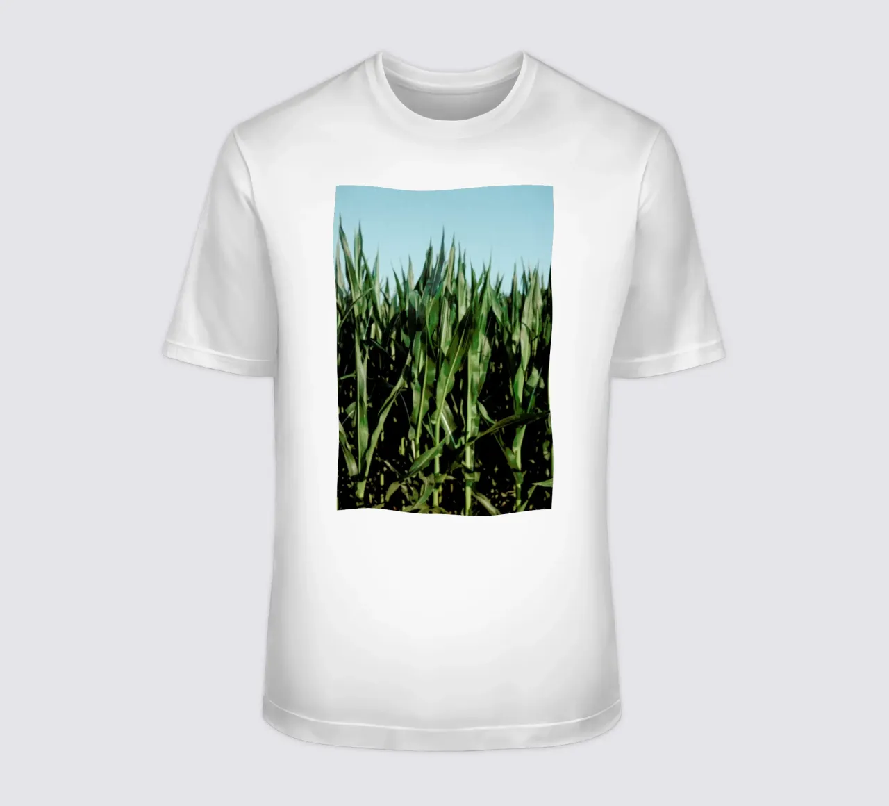 Analog Series Corn Fields t-shirt da Sebastian Hilgetag