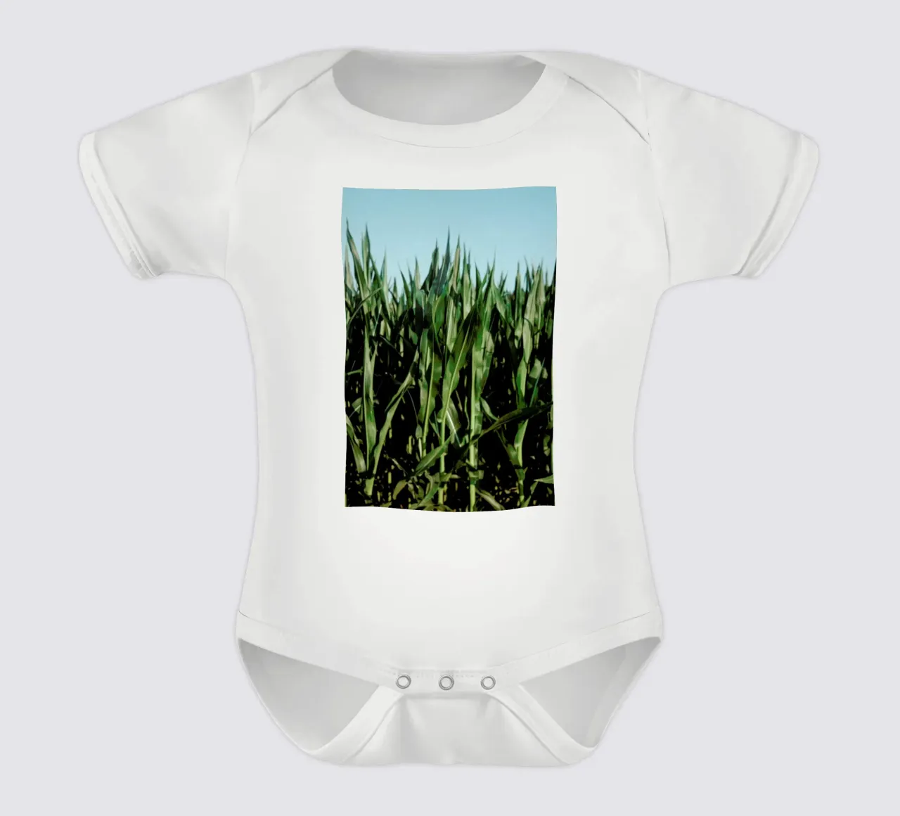 Analog Series Corn Fields body neonato maniche corte da Sebastian Hilgetag