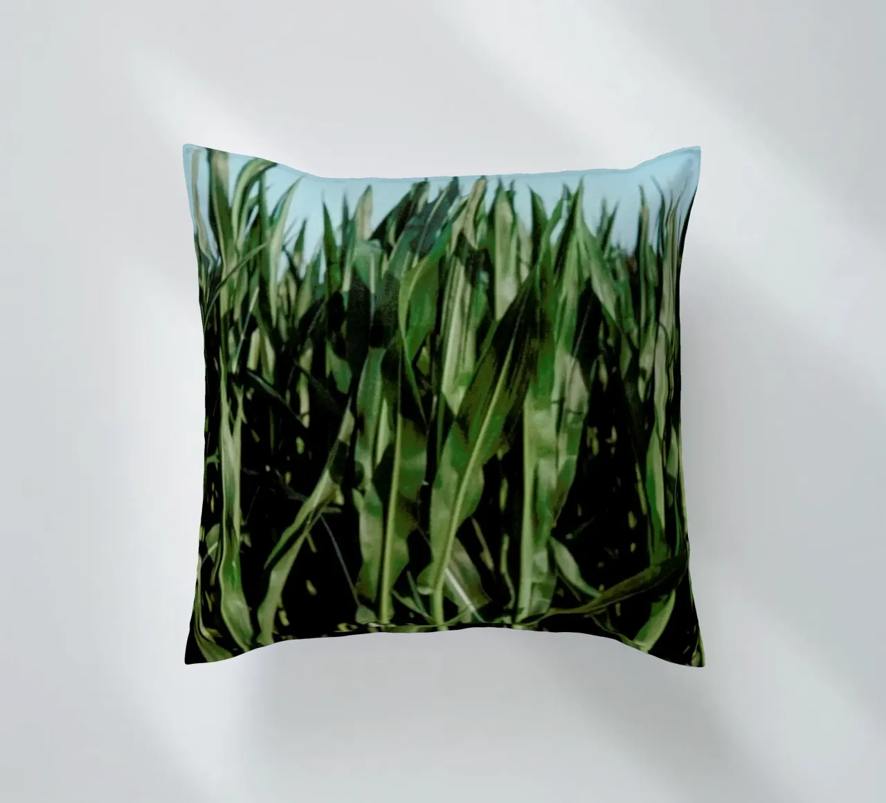 Analog Series Corn Fields cuscino da Sebastian Hilgetag