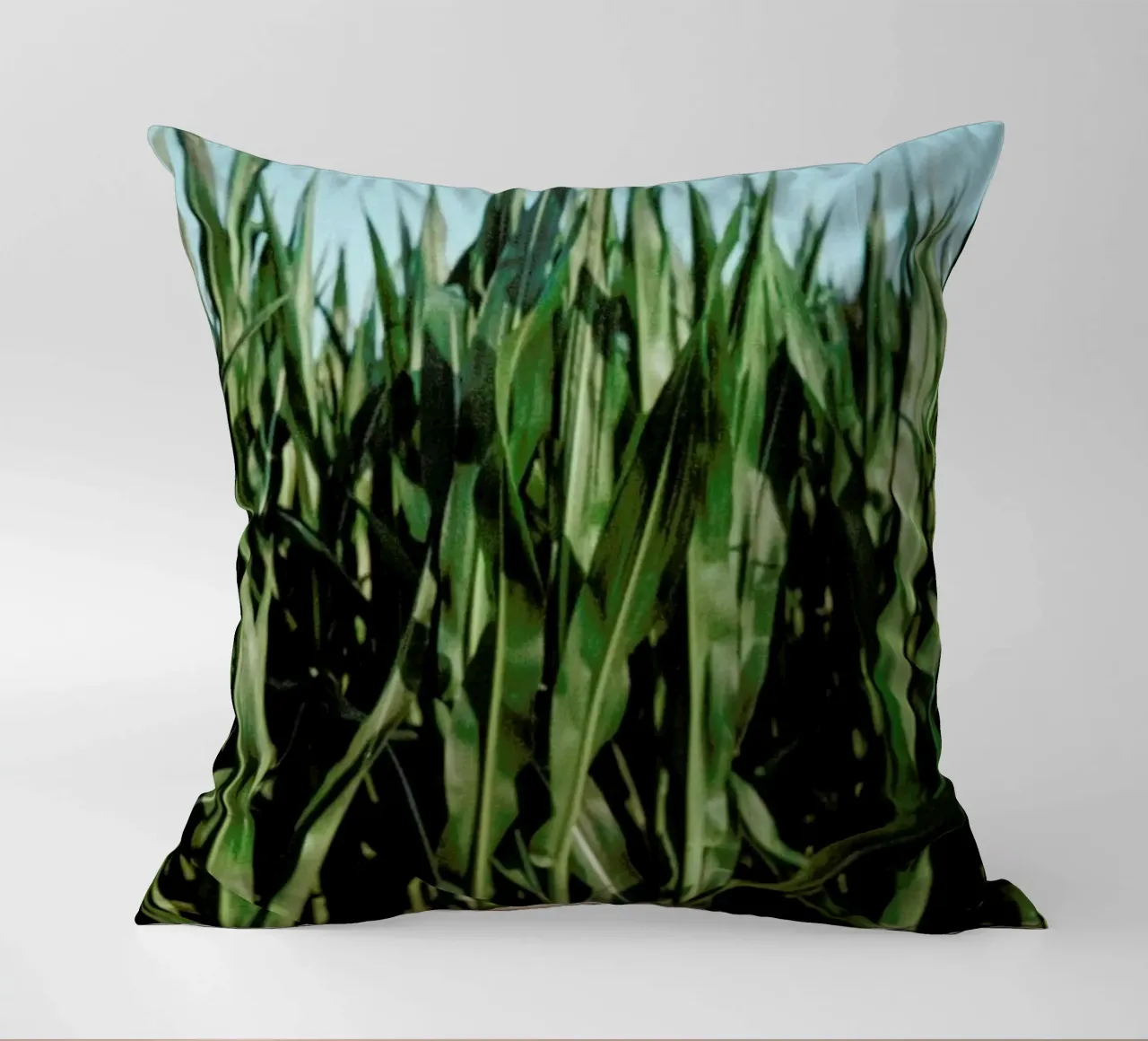 Analog Series Corn Fields cuscino da Sebastian Hilgetag