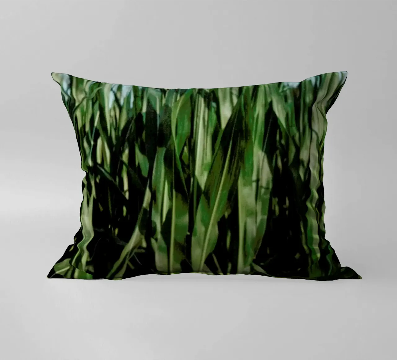 Analog Series Corn Fields cuscino da Sebastian Hilgetag