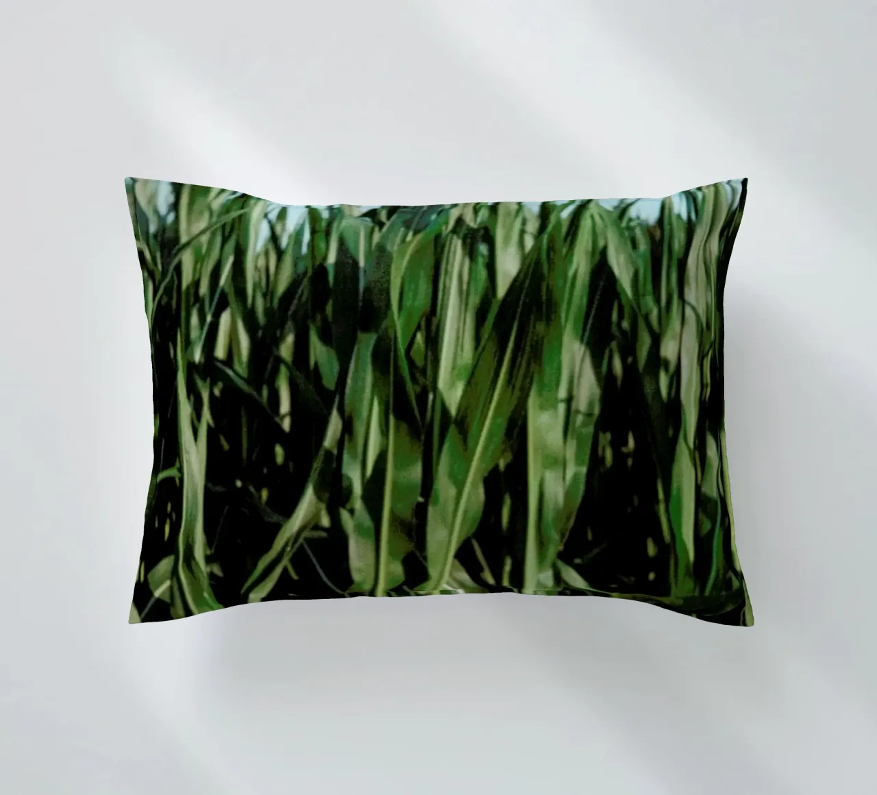 Analog Series Corn Fields cuscino da Sebastian Hilgetag