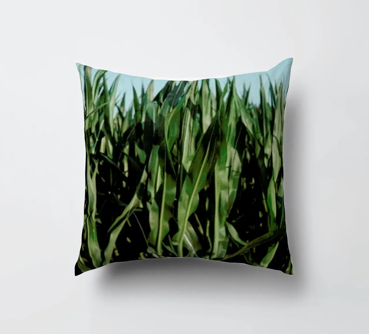 Analog Series Corn Fields cuscino da Sebastian Hilgetag