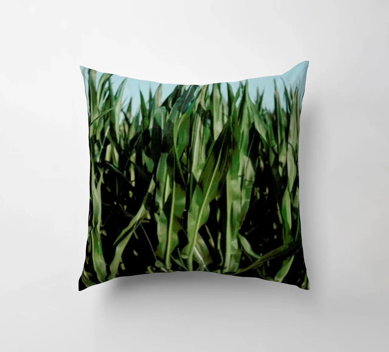 Analog Series Corn Fields cuscino da Sebastian Hilgetag