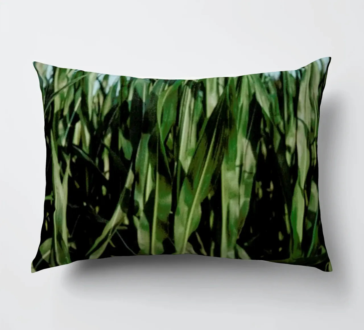 Analog Series Corn Fields cuscino da Sebastian Hilgetag
