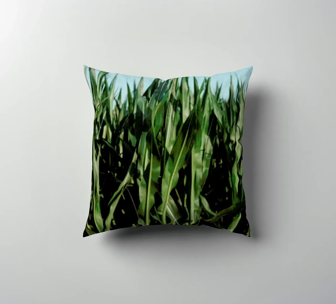 Analog Series Corn Fields cuscino da Sebastian Hilgetag