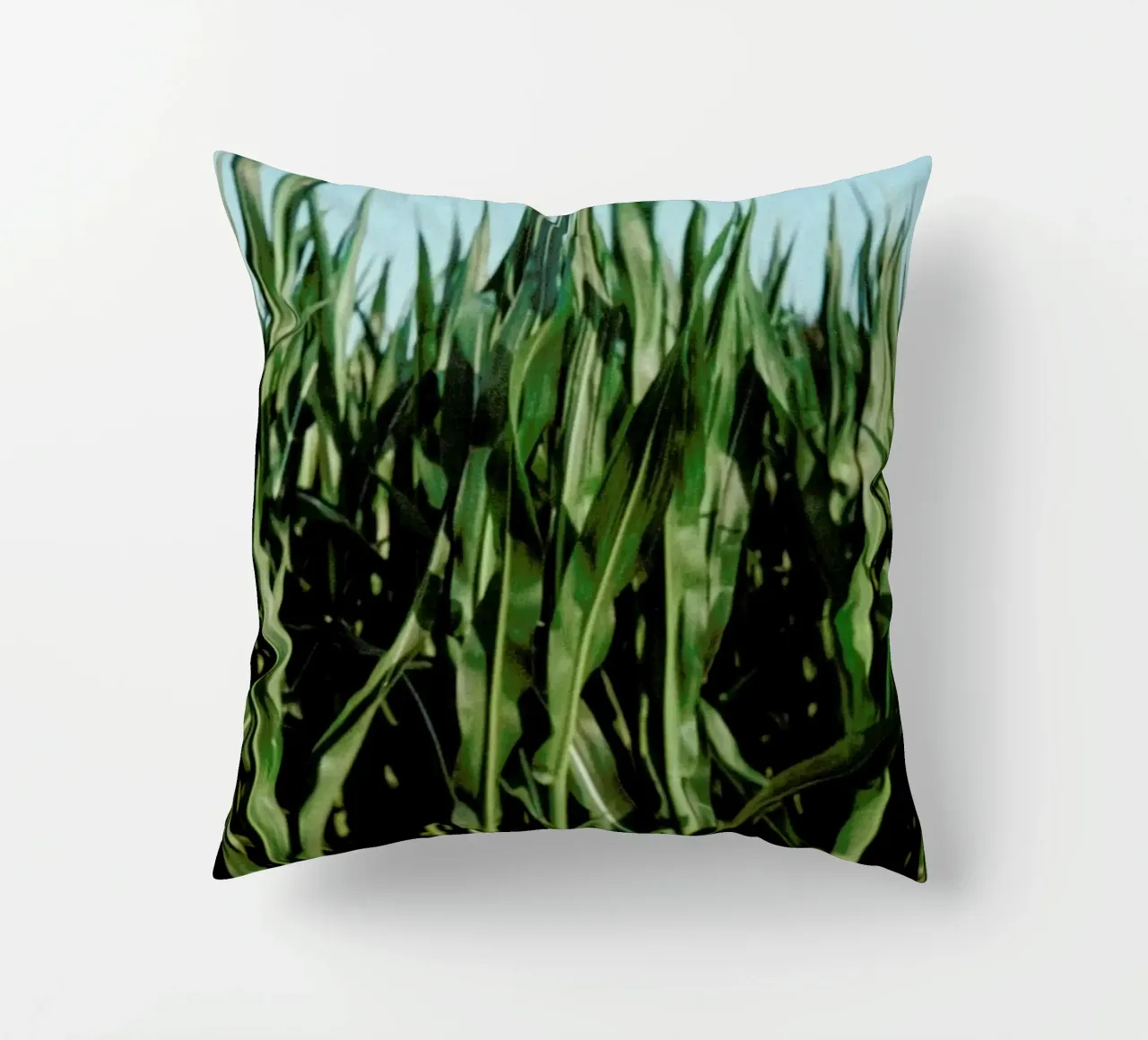 Analog Series Corn Fields cuscino da Sebastian Hilgetag