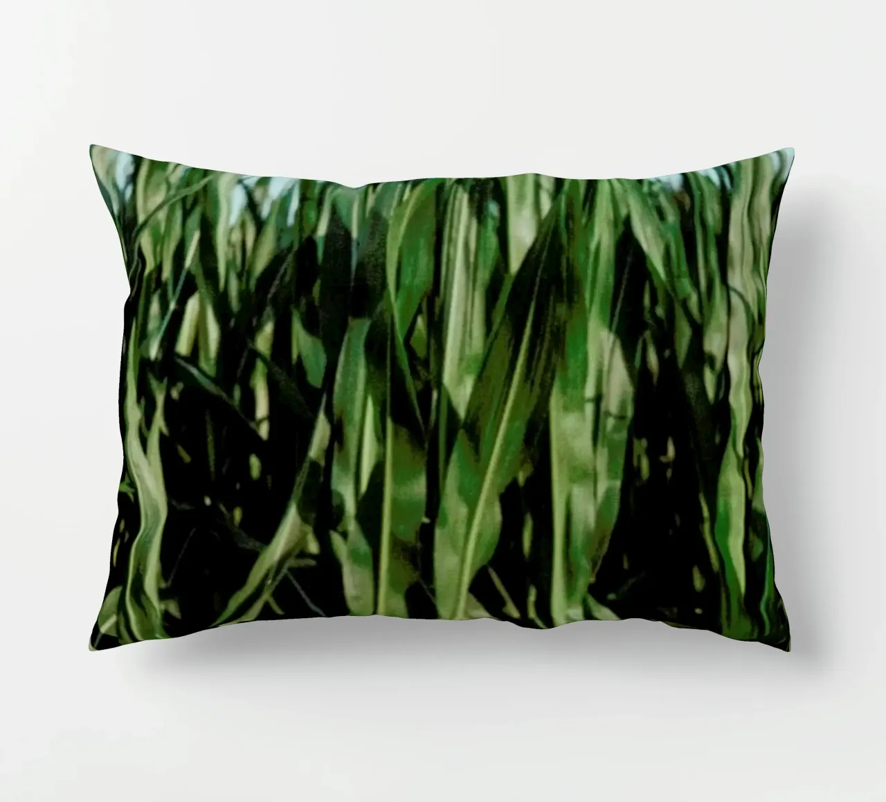 Analog Series Corn Fields cuscino da Sebastian Hilgetag