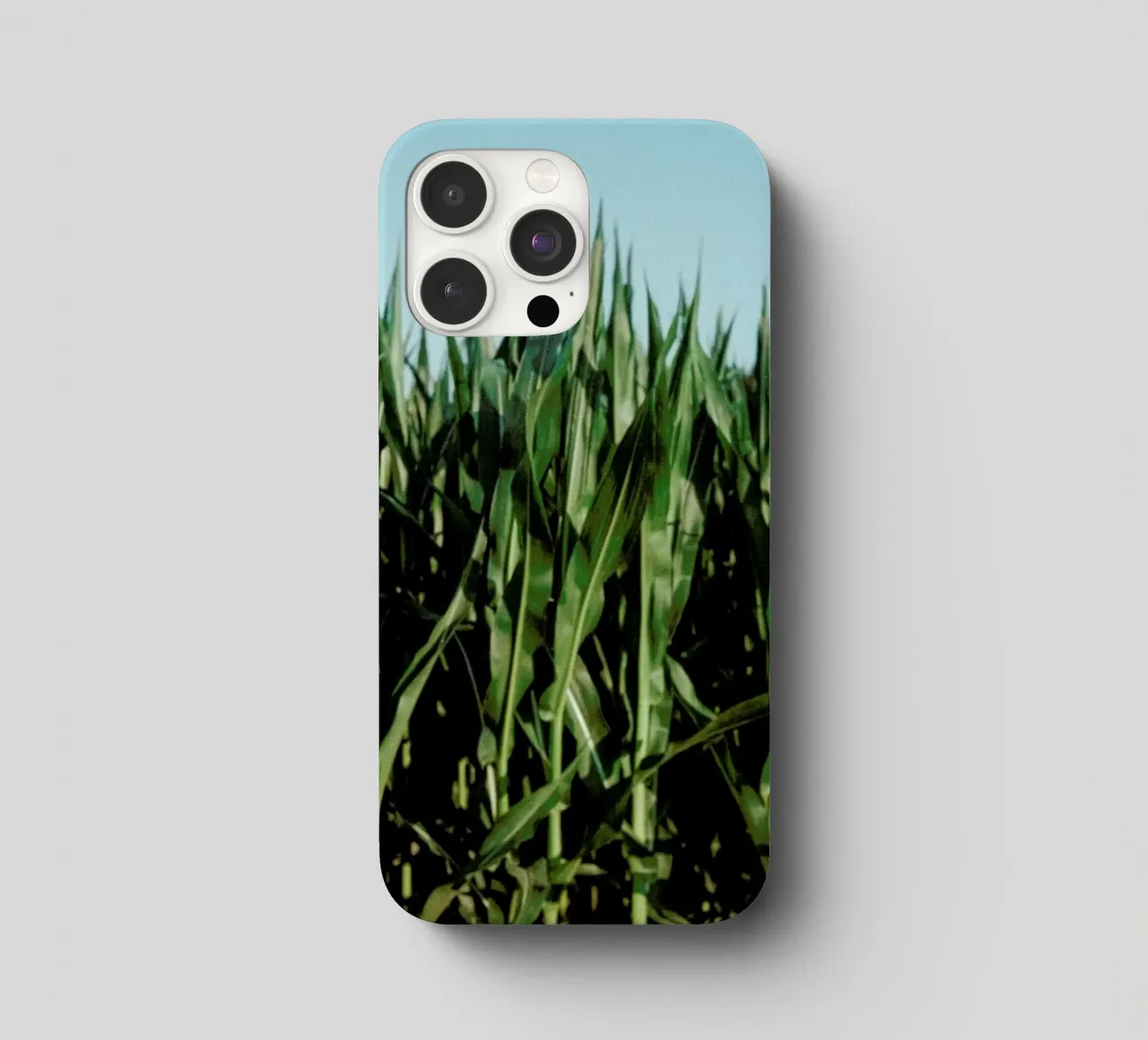 Analog Series Corn Fields cover iphone da Sebastian Hilgetag