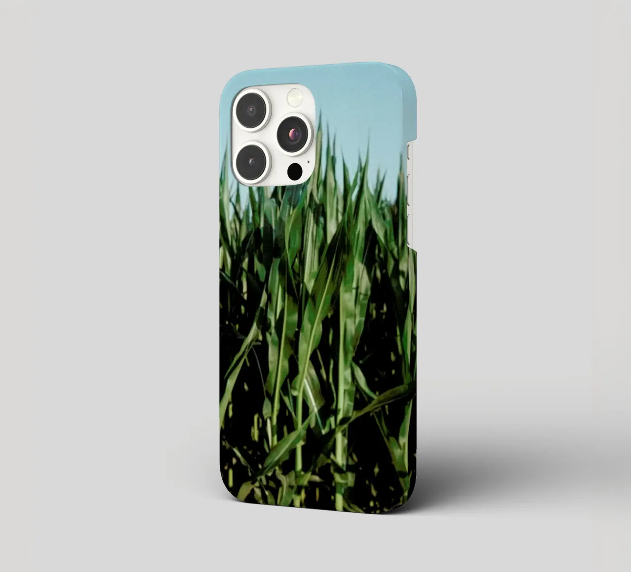 Analog Series Corn Fields cover iphone da Sebastian Hilgetag