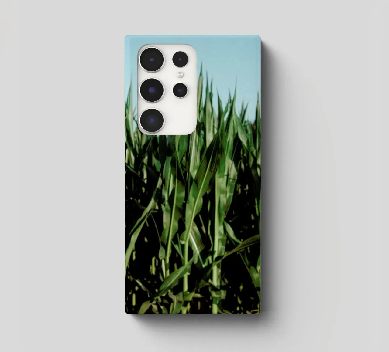 Analog Series Corn Fields cover samsung da Sebastian Hilgetag