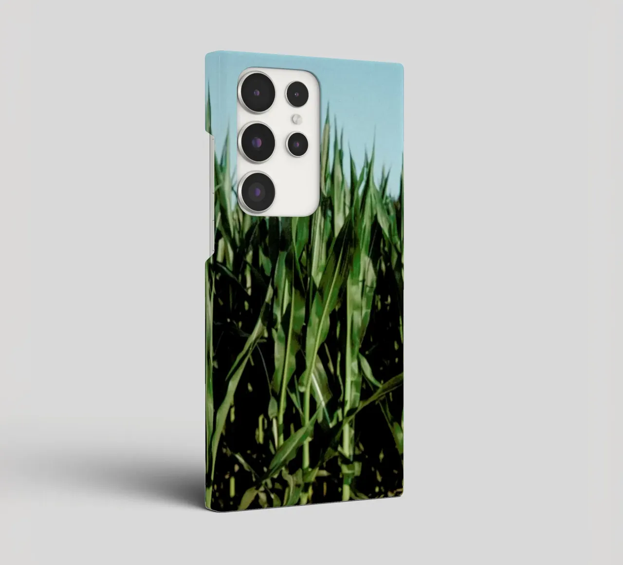 Analog Series Corn Fields cover samsung da Sebastian Hilgetag